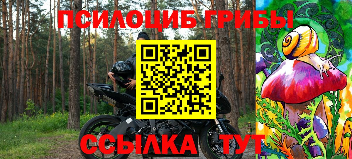 Псилоцибиновые грибы прущие грибы Ртищево