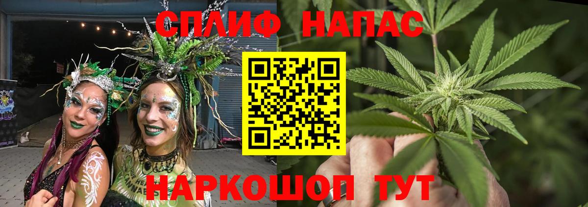 Конопля планчик Ртищево